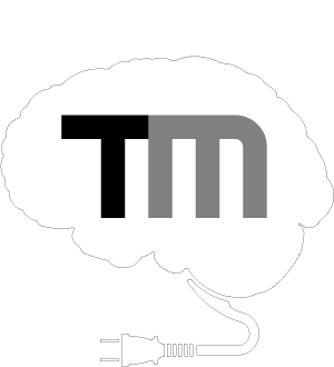 Temporal Mind Logo